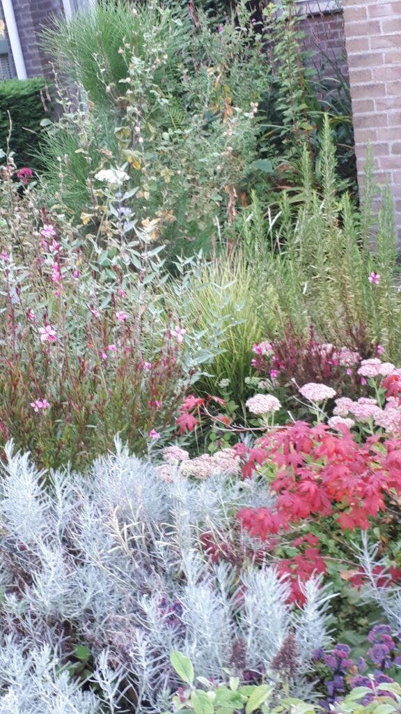 tuin5